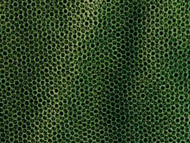 Mosquitera MFH grande verde 0,63x2,5x12,5 m