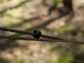 Juego de hamacas colgantes Lesovik Smuk negro
