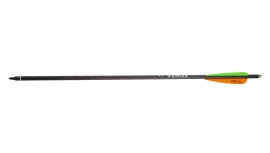 Flecha Carbono Savage 20"