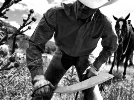 Machete Gerber Broadcut