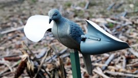 Balaban MOJO Wind Dove - Paloma de viento