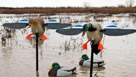 Balaban MOJO Mallard Hen - Pato salvaje con mando a distancia
