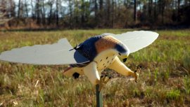 Balabán MOJO Hawk - Halcón
