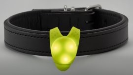 Colgante LED luminoso para collar Hunter
