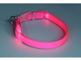 Collar Dogtrace Light 18-28cm