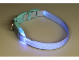Collar Dogtrace luminoso 28-38cm