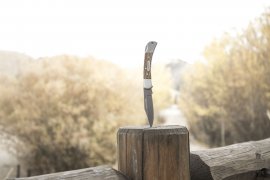 Cuchillo de cierre Winchester Lasso