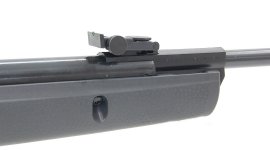 Carabina de aire comprimido Gamo Big Cat 1000 5,5mm - 24J