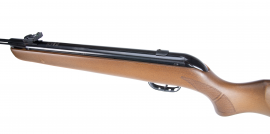 Carabina de aire comprimido Gamo Big Cat Hunter 4,5mm - 19J