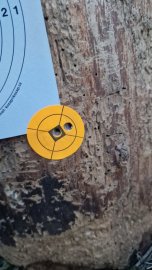 Opinión: H&N Heavy Slug 6.35mm/.250 2.72g/42gr - 1