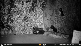 Opinión: Cámara de fototrampeo HIKMICRO T16 - 1