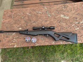 Opinión: Carabina de aire Gamo Whisper IGT 4,5mm - 1