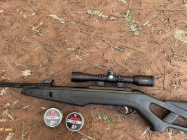 Opinión: Diábolo Gamo Pro Magnum Penetration 4,5 mm 500 uds - 1