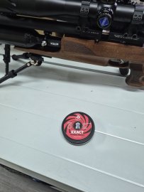 Opinión: Diábolo JSB Exact Jumbo Heavy 5,52mm 500uds - 1