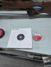 Opinión: Dianas Beast Hunter 17x17 - 100 uds - 1