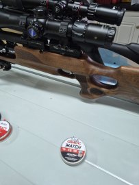Opinión: Diábolo Gamo AccuTek Match 4,5mm 500uds - 1