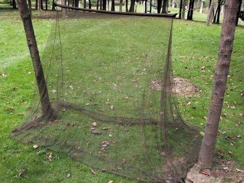 Mosquitera de camping MFH verde 2x1 5x1 m
