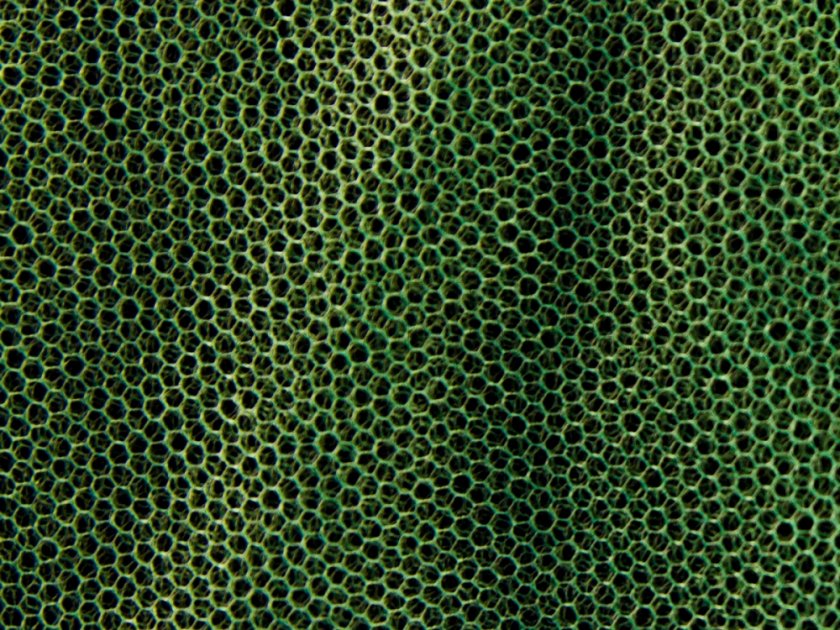Mosquitera MFH pequeña verde 0,63x2x8 m