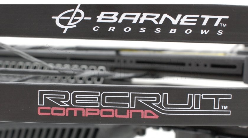Ballesta Barnett Recruit 130lb