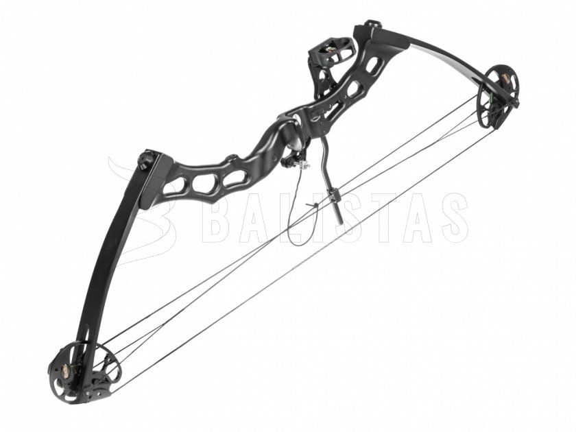 Arco Poe Lang Predator II negro 45-65lbs