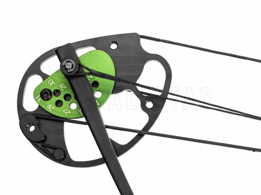 Arco Poe Lang Predator II negro 45-65lbs