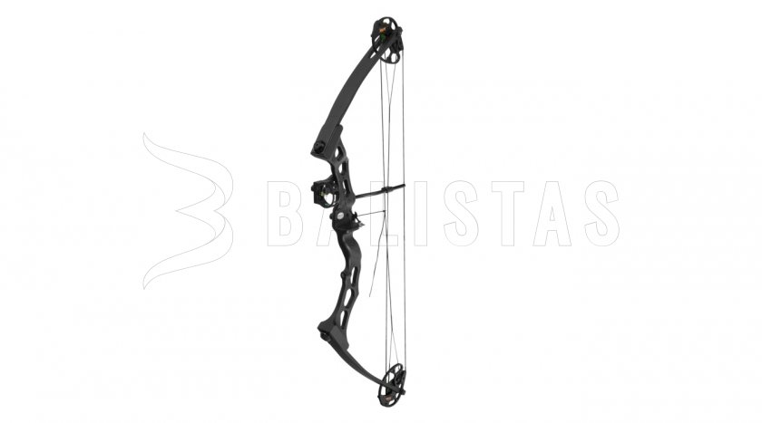 Arco Poe Lang Predator II negro 45-65lbs