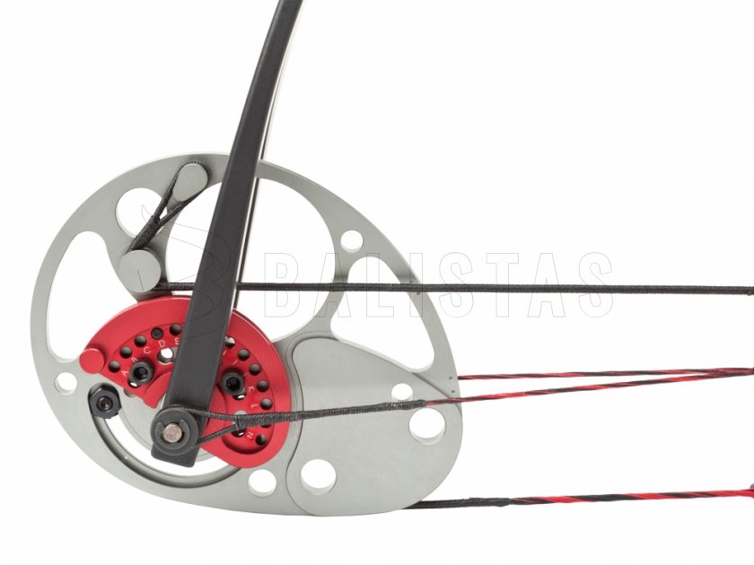 Arco Poe Lang Assassin 20-70lbs