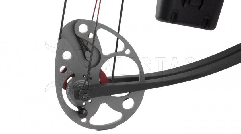 Arco Poe Lang Assassin 20-70lbs
