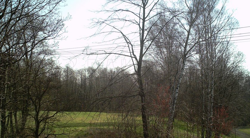 Trampa fotográfica Forestcam Tiny