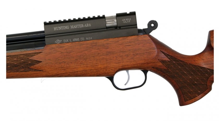 Carabina de aire comprimido Evanix Hunting Master AR6 5,5mm