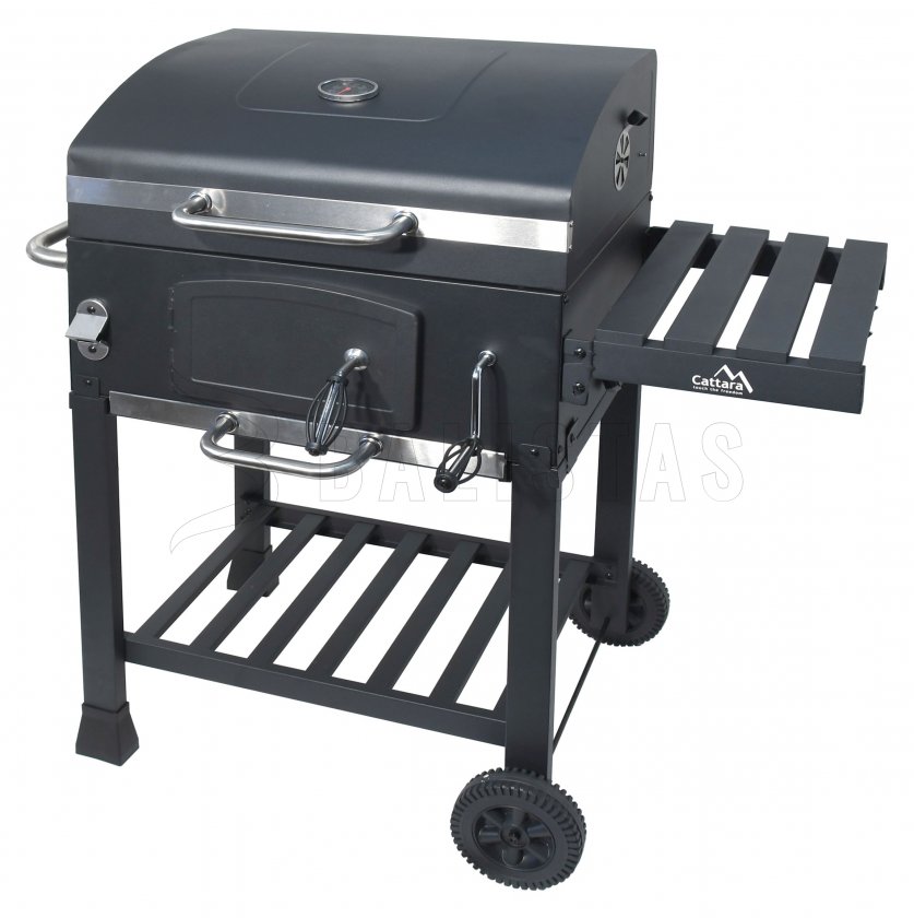 Parrilla de carbón Royal con rejilla de hierro fundido