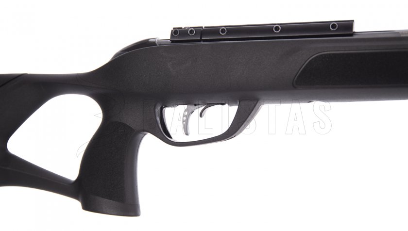 Carabina de aire comprimido Gamo Roadster IGT 10X GEN2 4,5mm