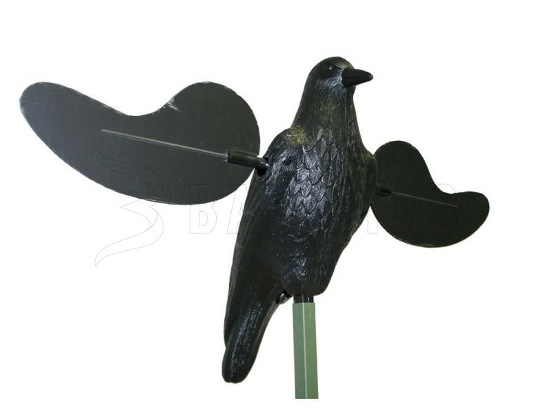Balaban MOJO Crow - Cuervo