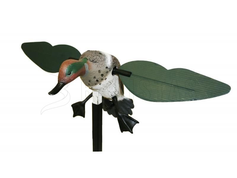 Balaban MOJO Teal - Encaje General