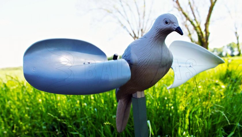 Balaban MOJO Wind Dove - Paloma de viento