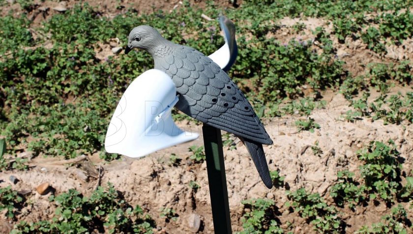 Balaban MOJO Wind Dove - Paloma de viento