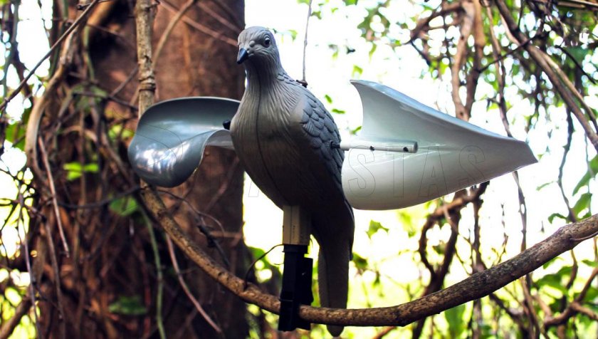 Balaban MOJO Wind Dove - Paloma de viento