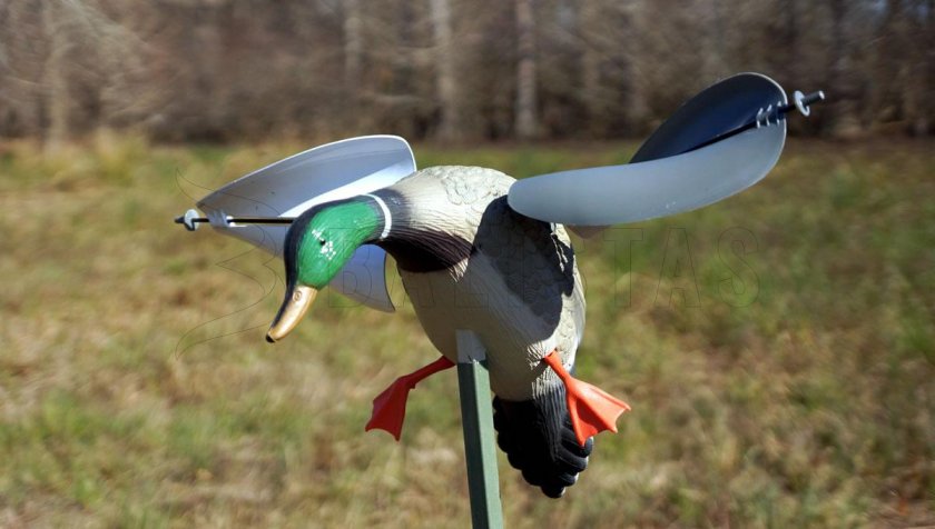 Balaban MOJO Wind Pato Mallard