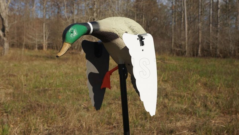 Balaban MOJO Super Mallard - Pato salvaje