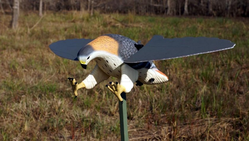 Balabán MOJO Hawk - Halcón