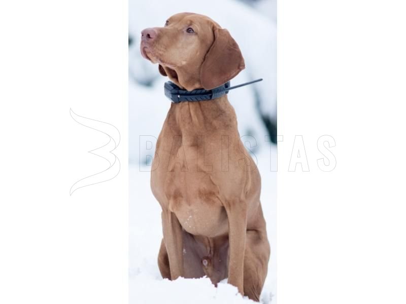 Localizador GPS Dogtrace DOG GPS X20 - Naranja