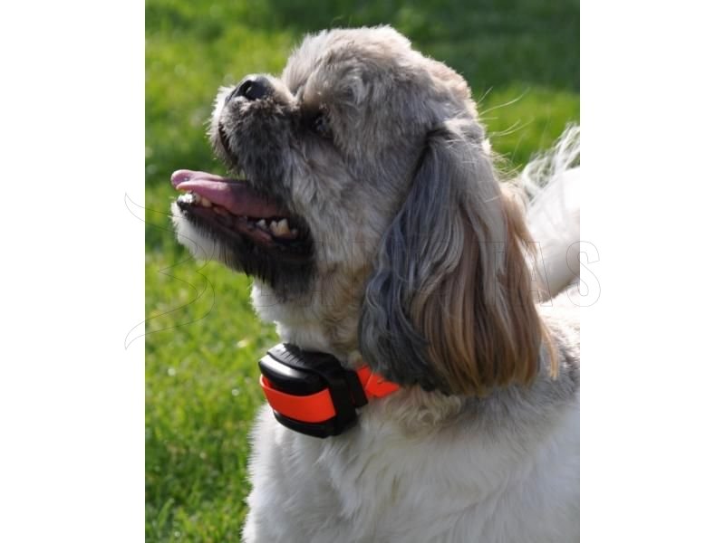 Dogtrace d-control professional 2000 collar naranja
