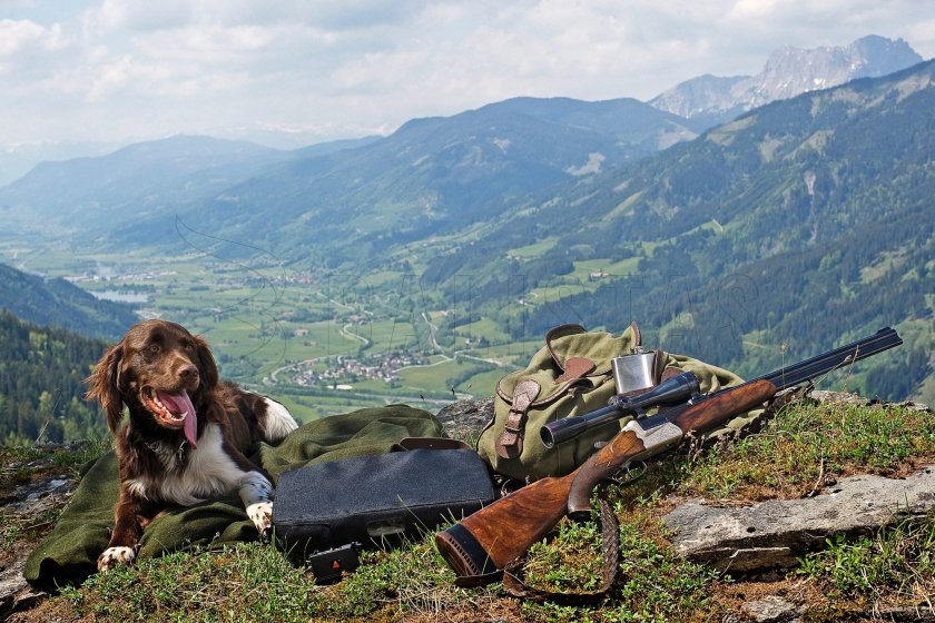 Cojín de asiento calefactable Alpenheat Fire-Cushion AJ7