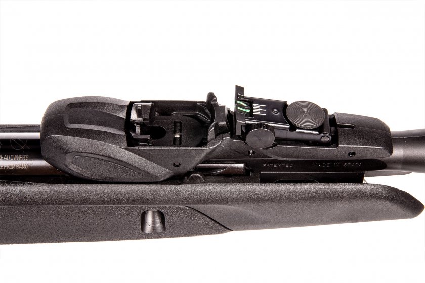 Carabina de aire comprimido Gamo Speedster IGT 10x 4,5mm