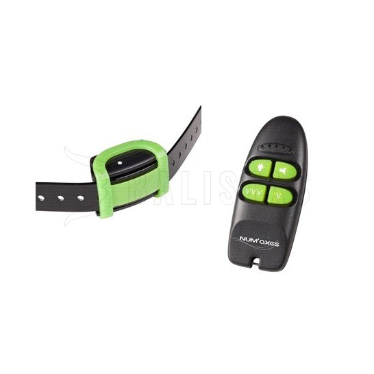 Collar de adiestramiento Eyenimal Training Soft