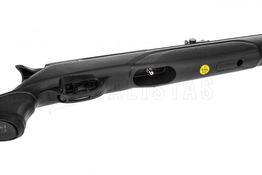 Carabina de aire comprimido Gamo Arrow 5,5mm - 24J