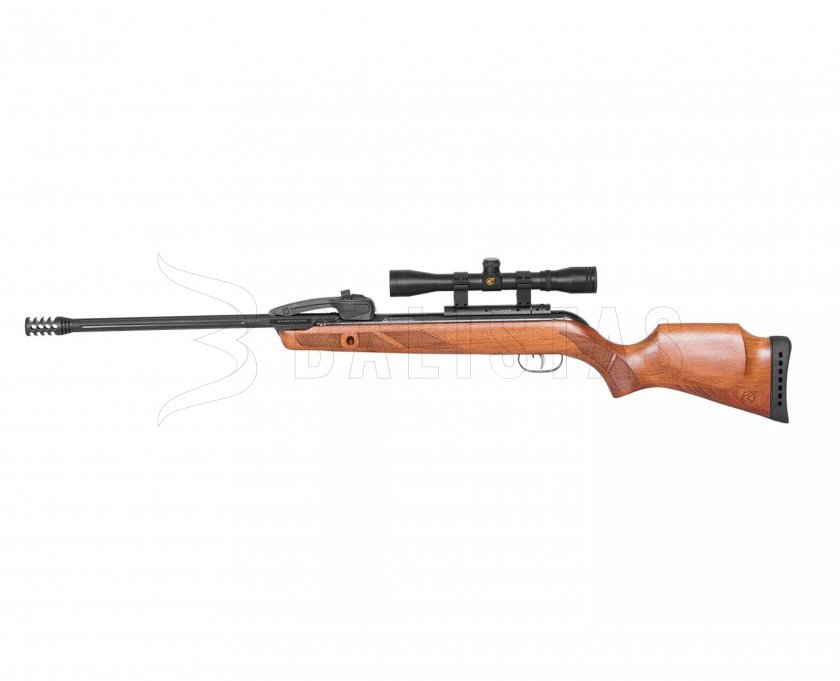 Carabina de aire comprimido Gamo Fast Shot 10 IGT 5,5mm - 24J