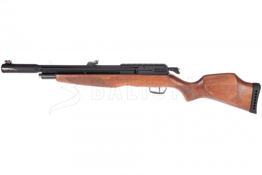 Carabina de aire comprimido Gamo Riser Punisher 4,5mm