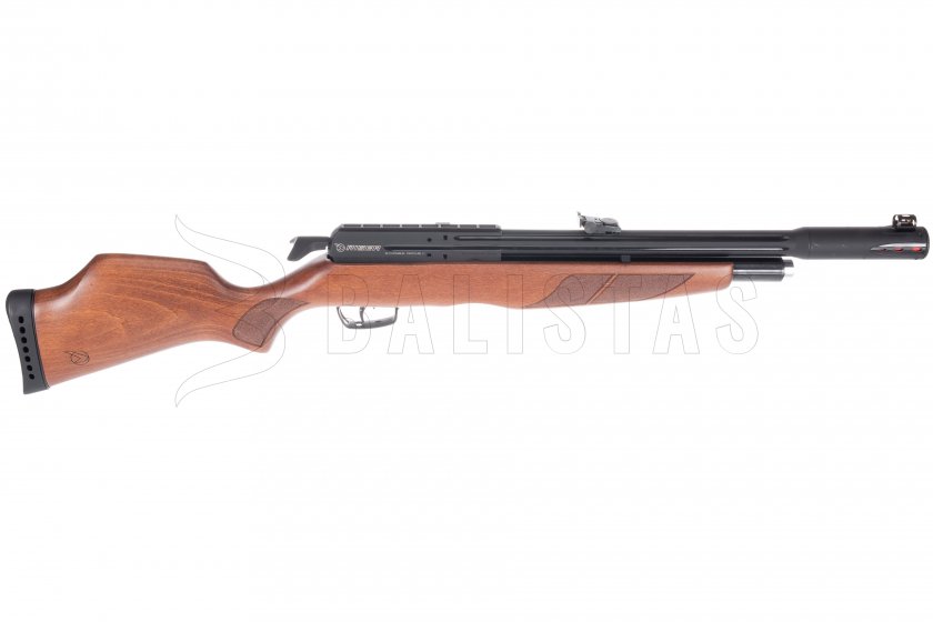 Carabina de aire comprimido Gamo Riser Punisher 4,5mm
