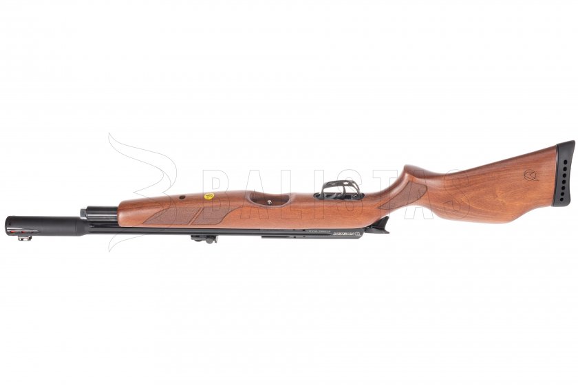 Carabina de aire comprimido Gamo Riser Punisher 4,5mm